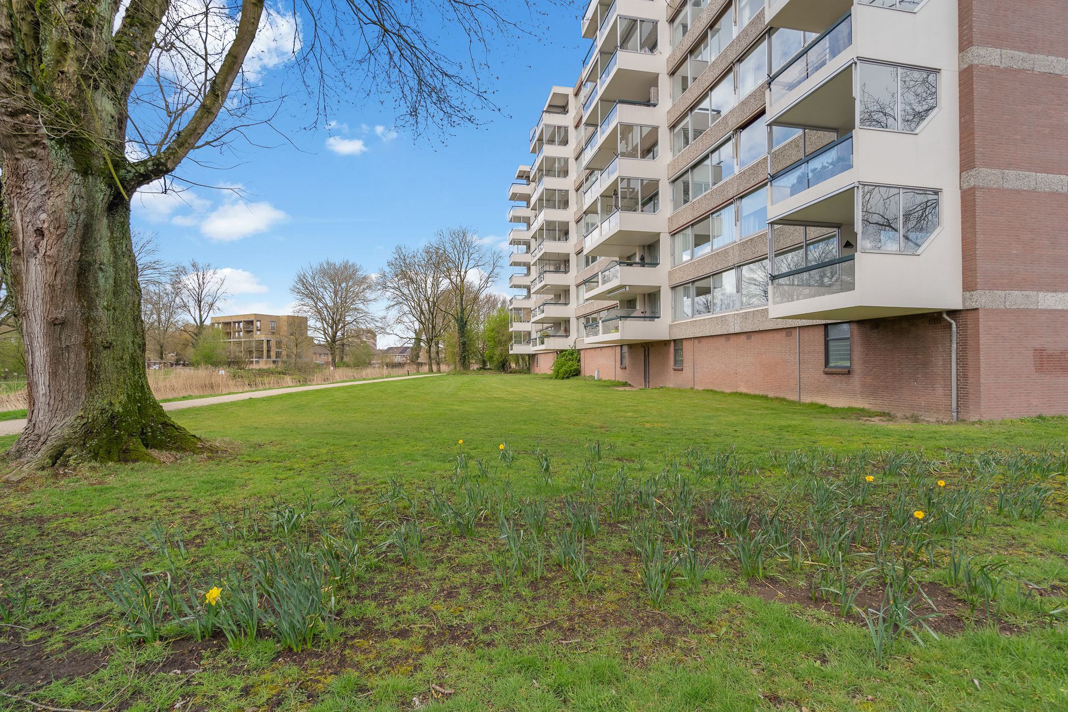 Foto 63 van Otelloplaats 26