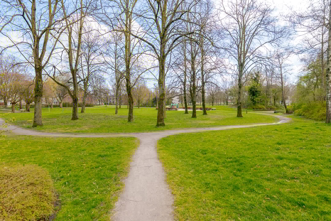 Foto 41 van Iepenstraat 88