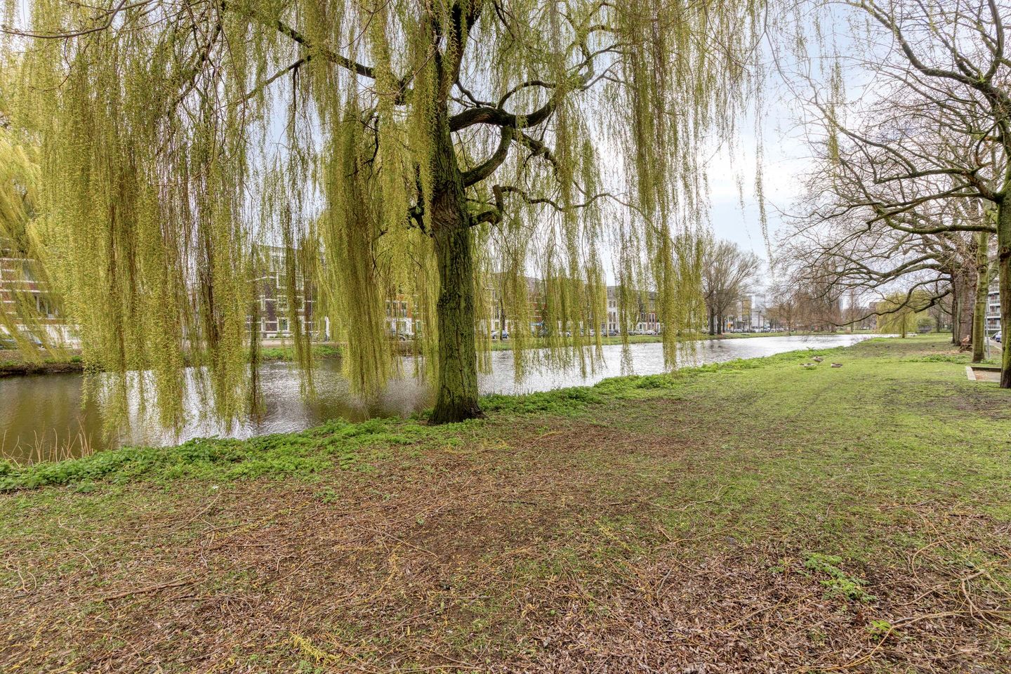 Photo 20 of Slachthuiskade 22