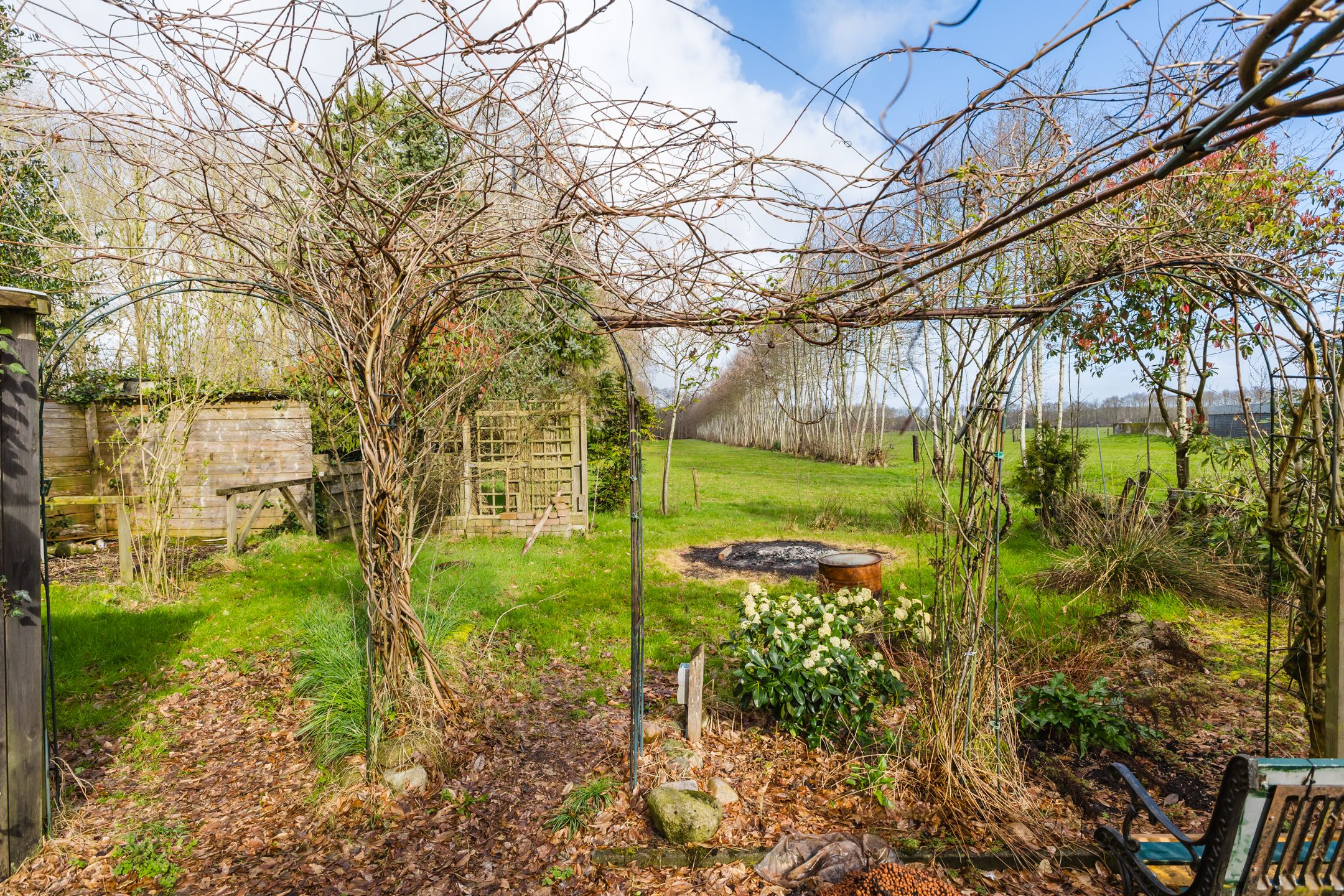 Foto 18 van Schoterlandseweg 101