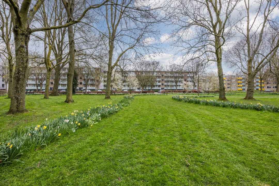 Photo 46 of Gerstkamp 62