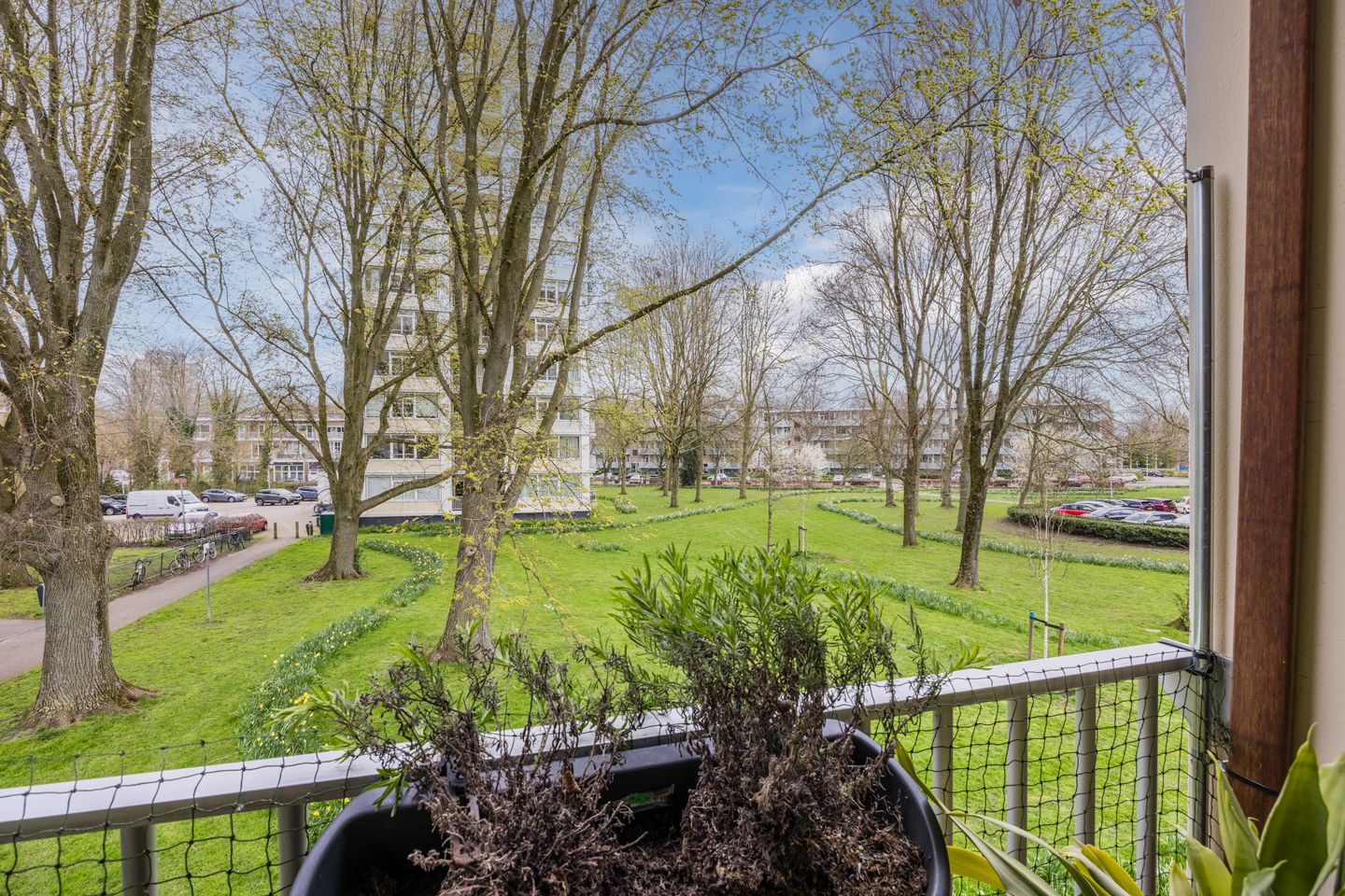 Photo 4 of Gerstkamp 62