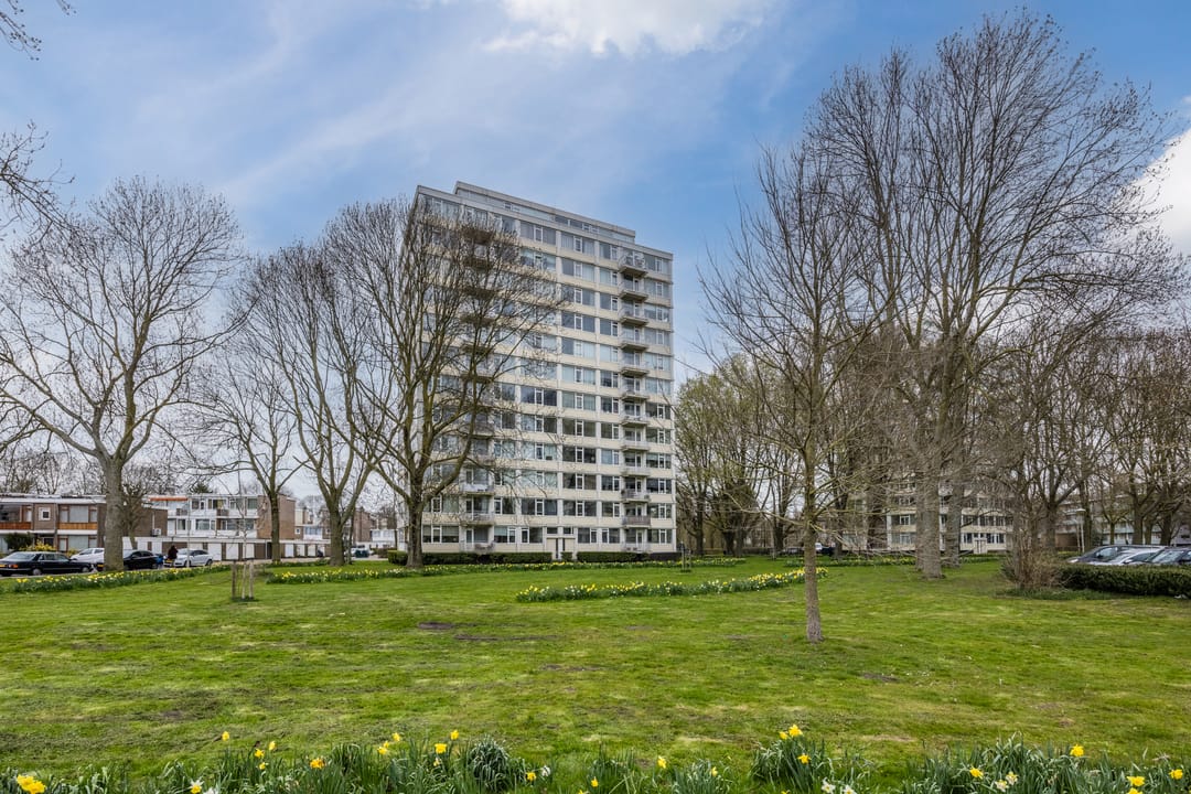 Photo 38 of Gerstkamp 62