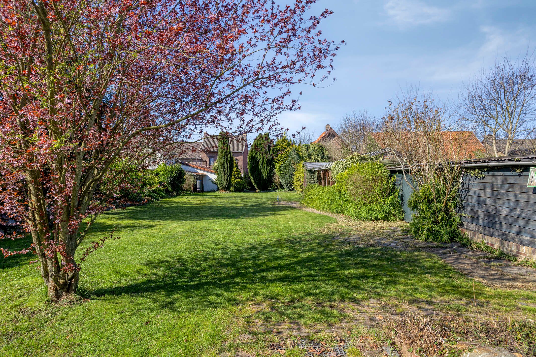 Foto 3 van Kruisstraat 94