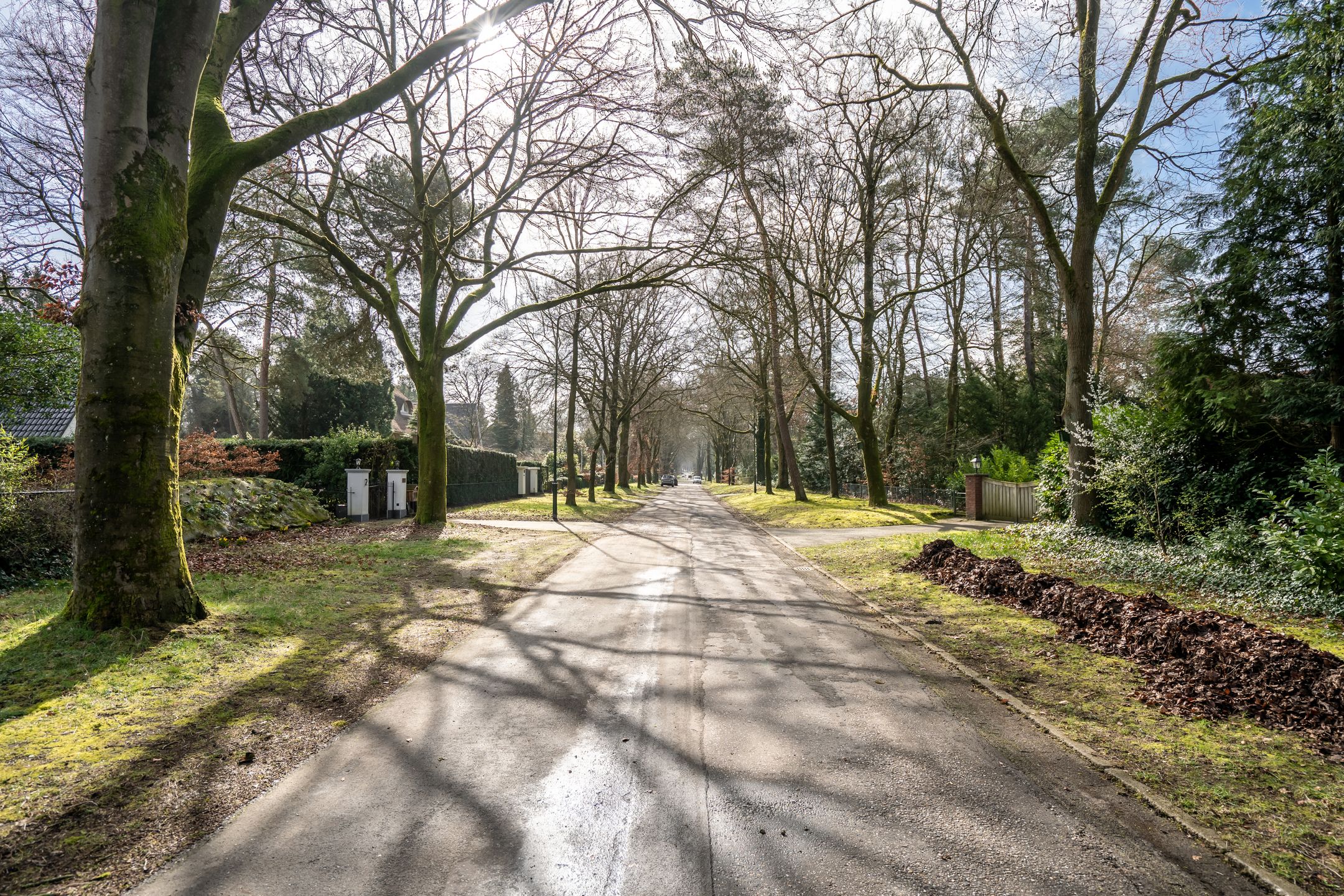 Foto 6 van Kabeljauwallee 2