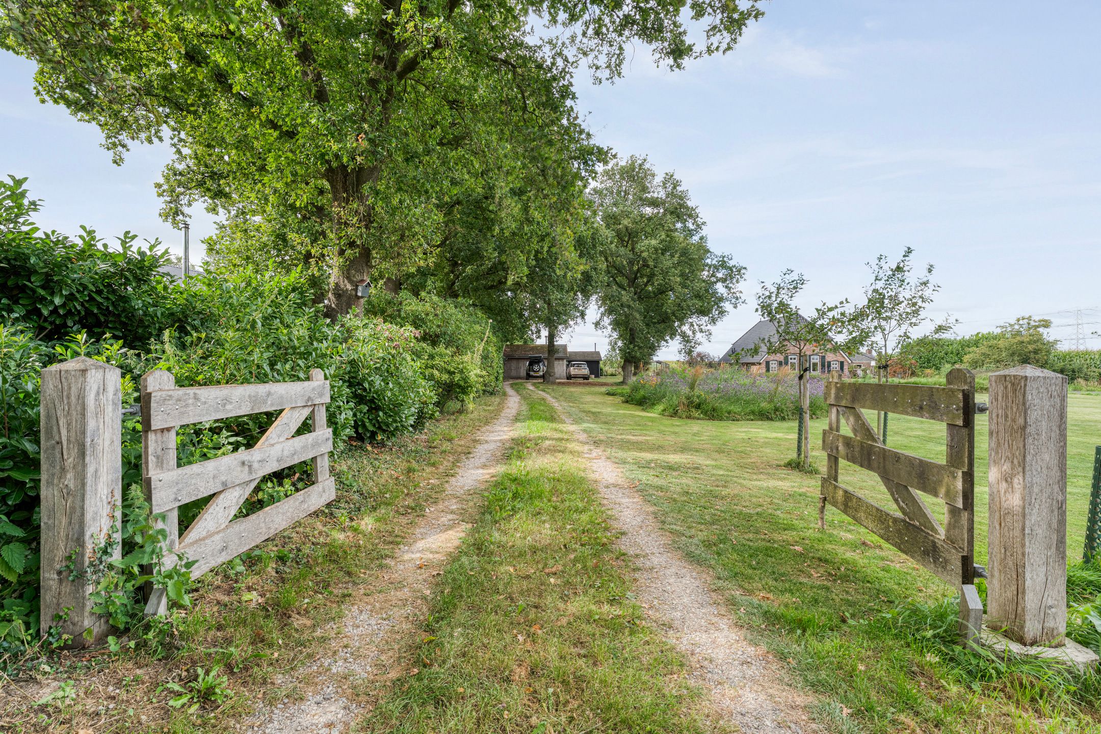 Foto 6 van De Hooigraven 5