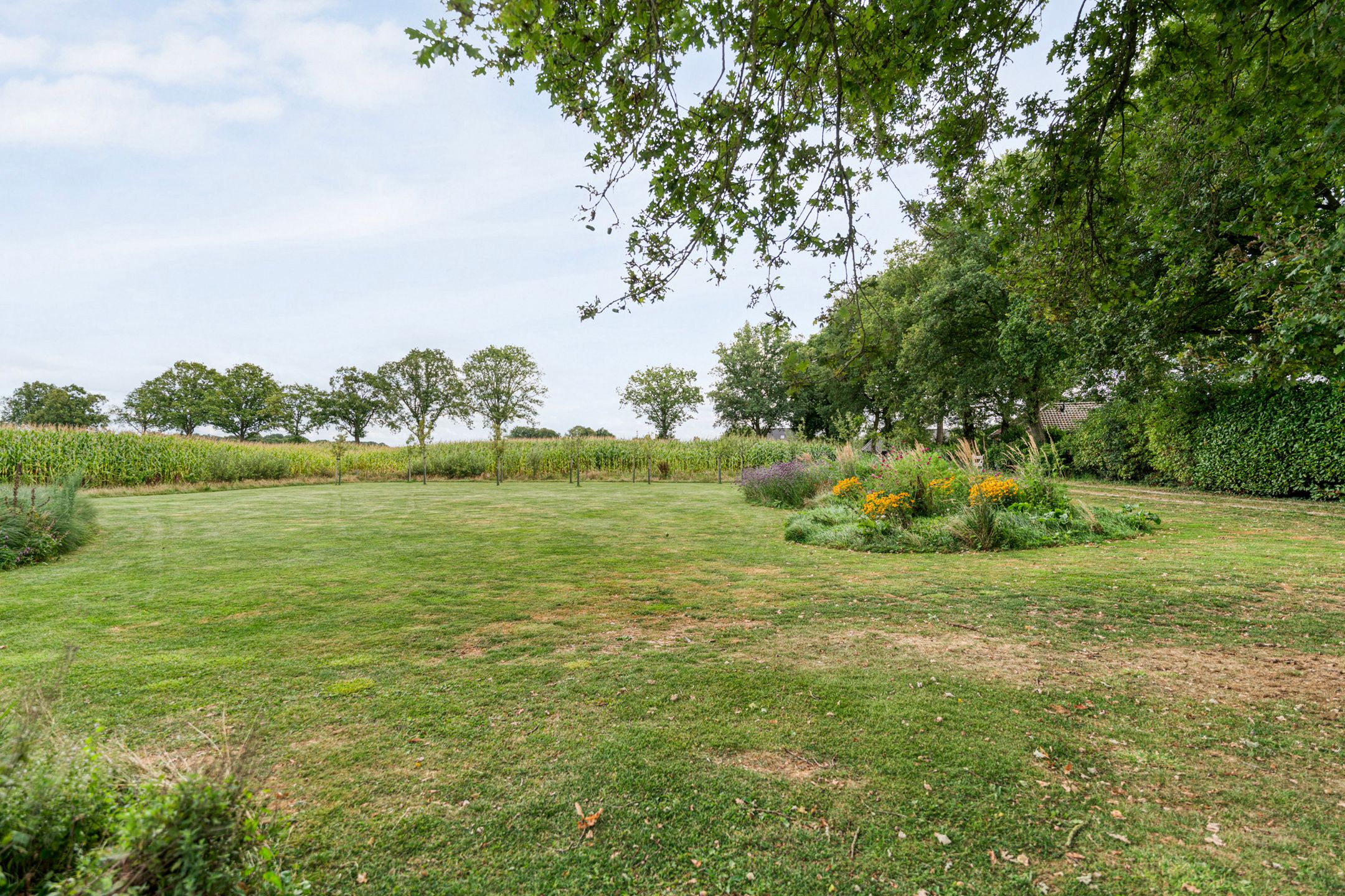 Foto 45 van De Hooigraven 5