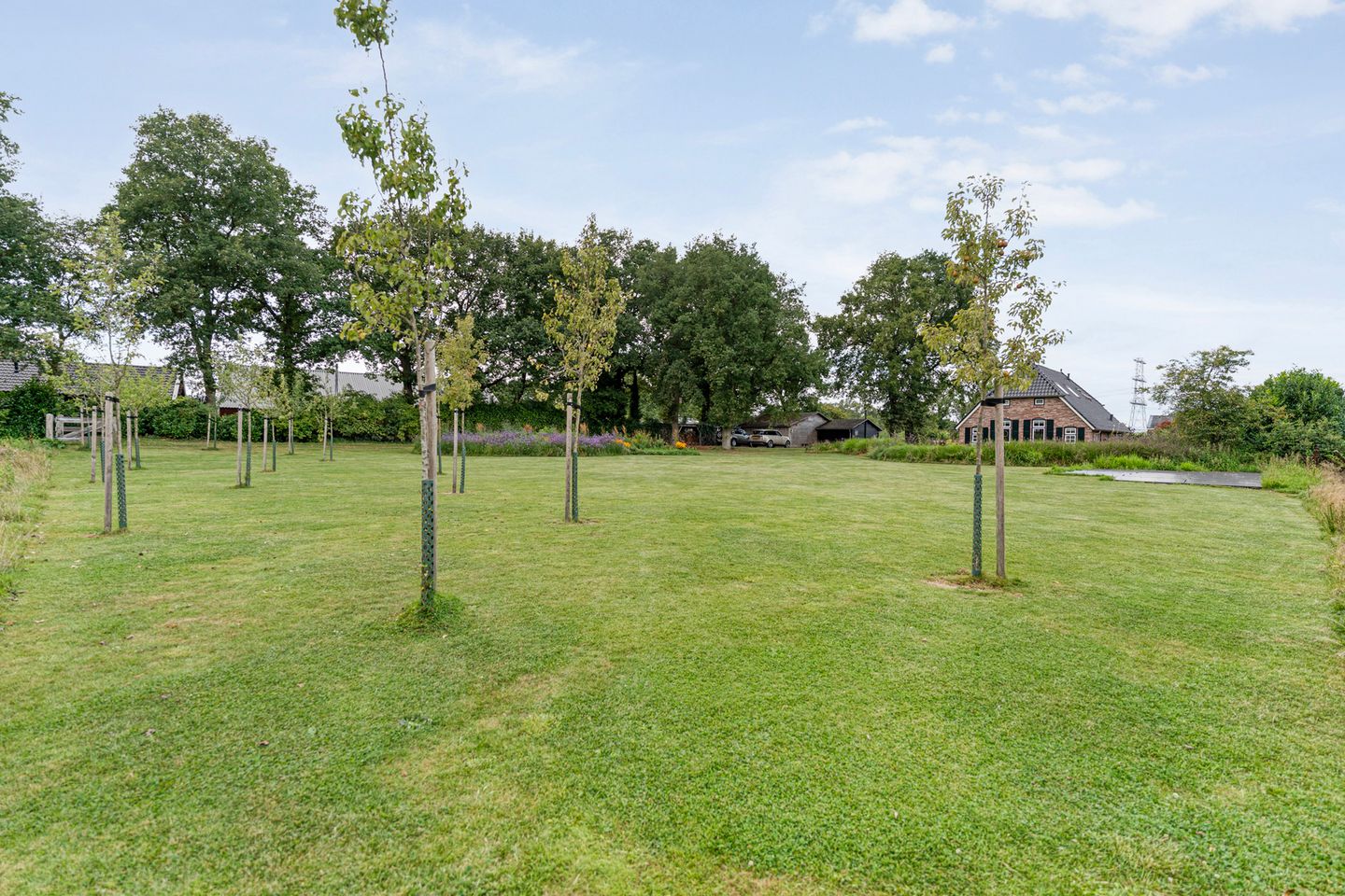 Foto 44 van De Hooigraven 5
