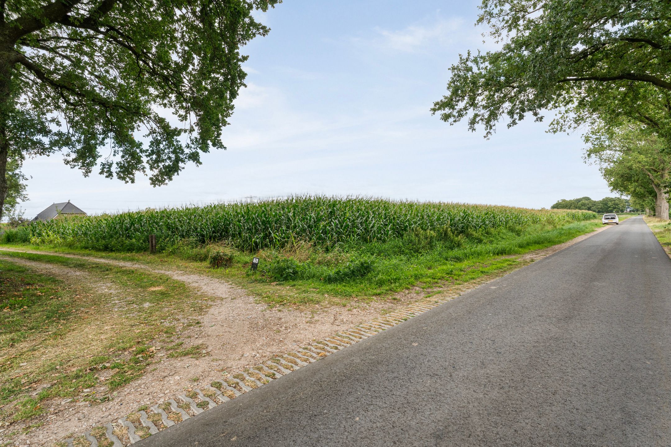 Foto 78 van De Hooigraven 5