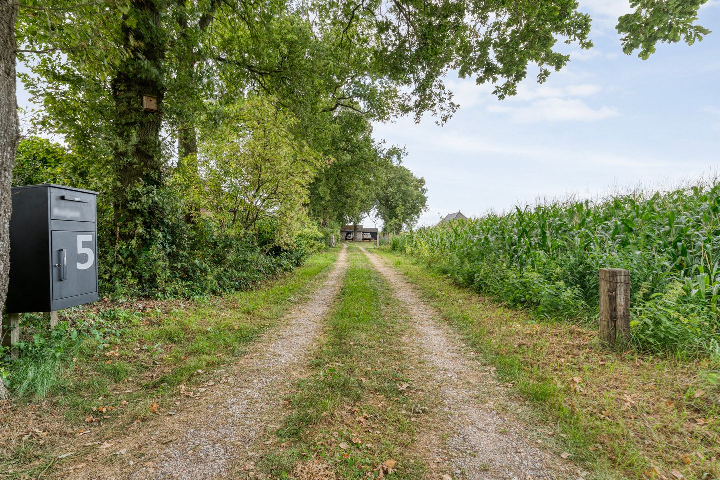 Foto 5 van De Hooigraven 5