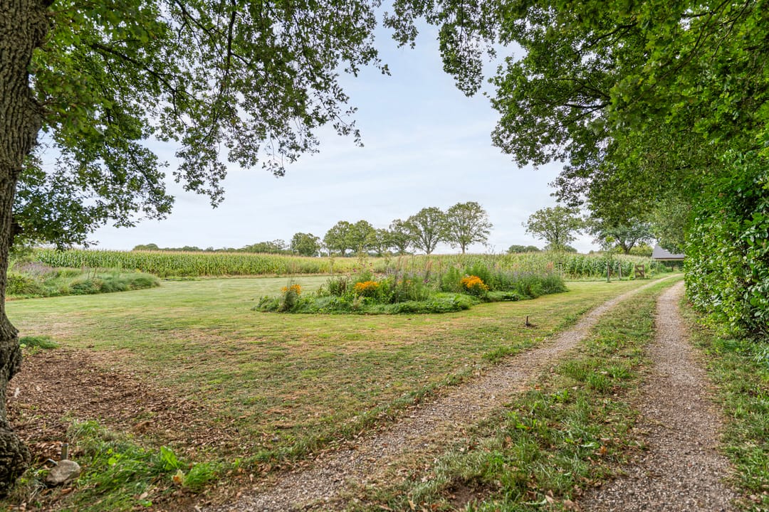 Foto 8 van De Hooigraven 5