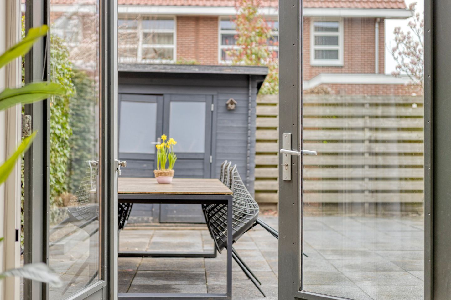 Photo 34 of Fonteinkruid 38