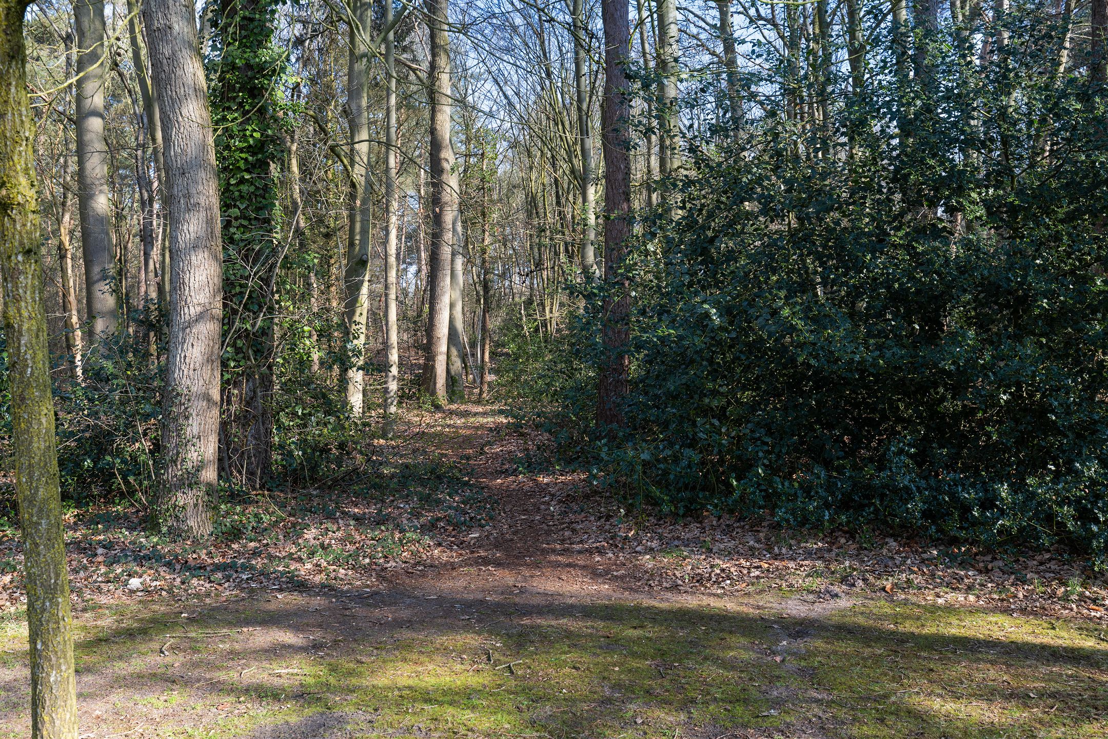 Photo 30 of Warmeerweg 324