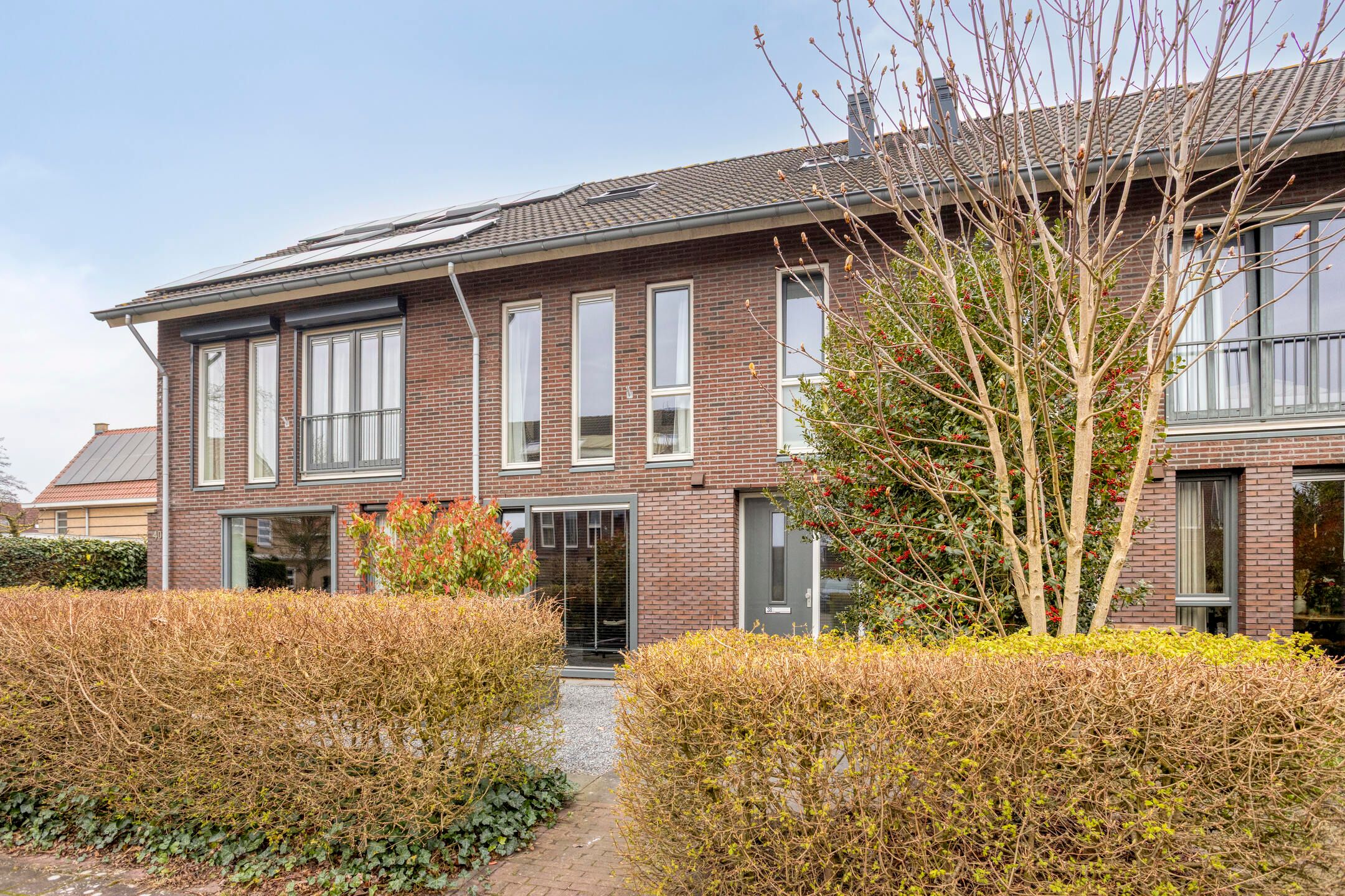 Photo 36 of Fonteinkruid 38