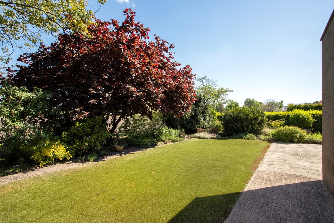 Foto 37 van Neereindseweg 13-B