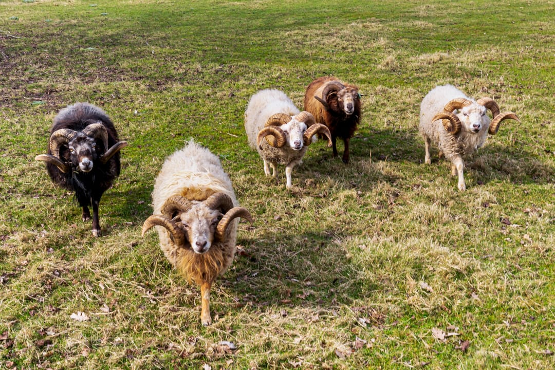 Photo 61 of Wijheseweg 5-A