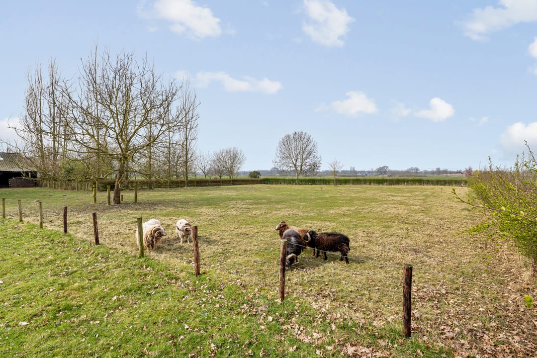 Photo 62 of Wijheseweg 5-A