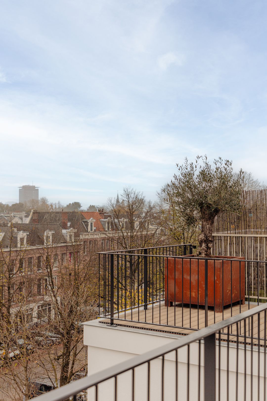 Foto 11 van Hemonylaan 23-F