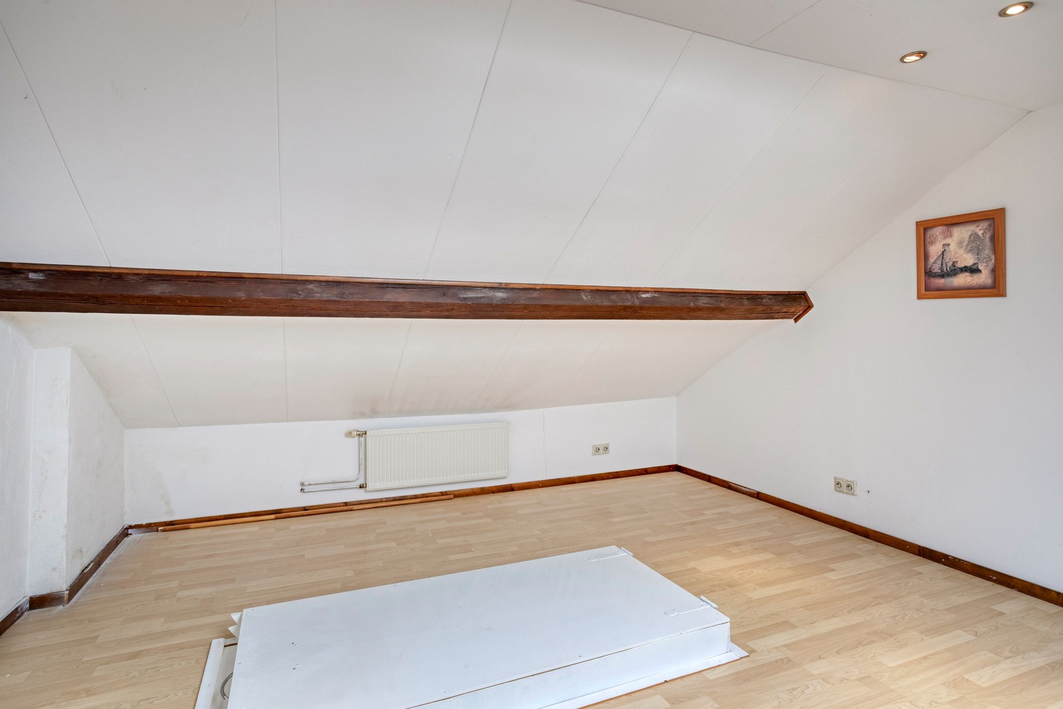 Foto 24 van Esdoornlaan 5