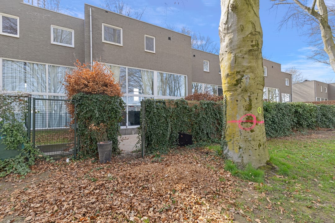 Foto 43 van Bertus Aafjesstraat 18