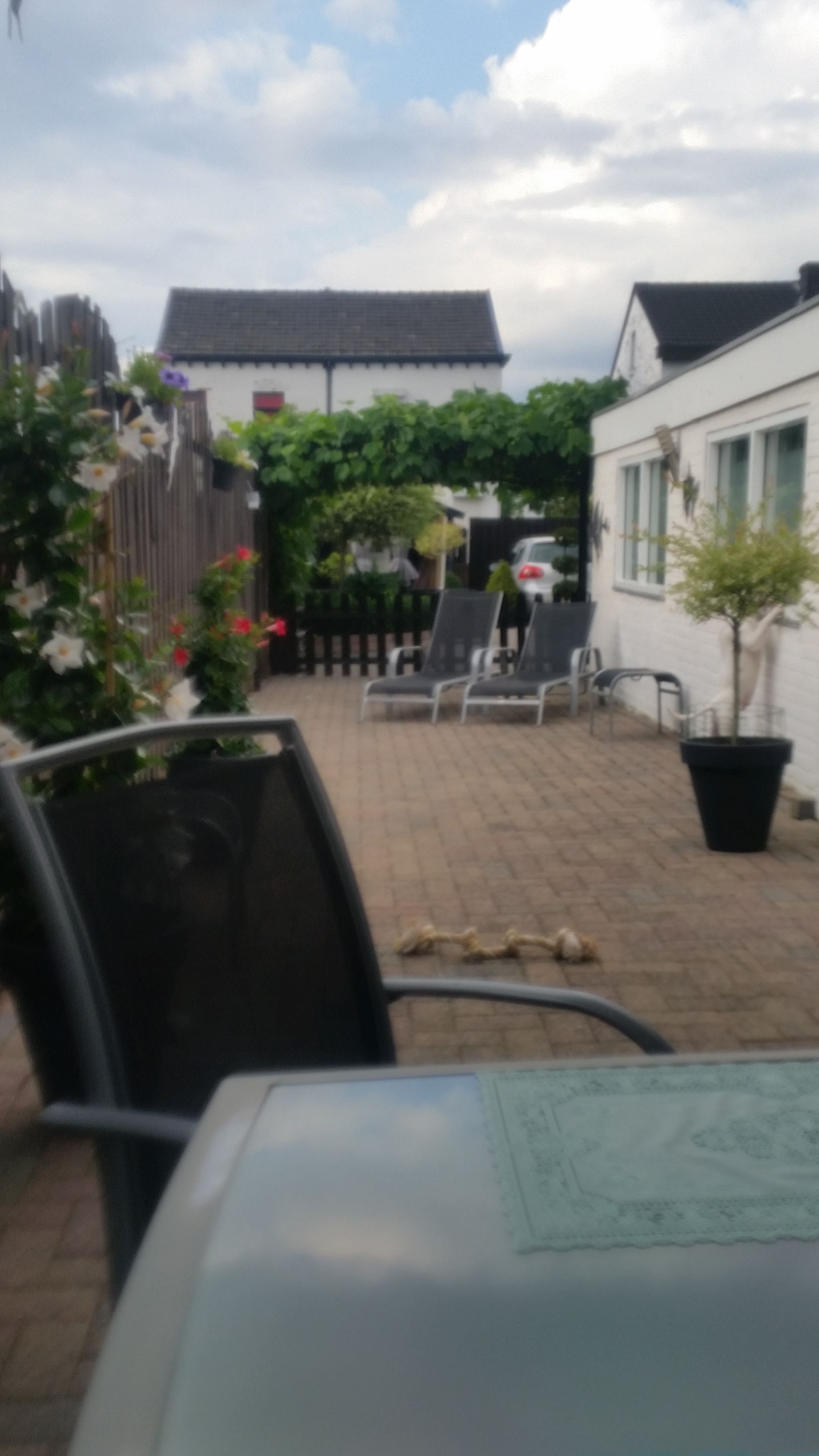 Foto 30 van Esdoornlaan 5