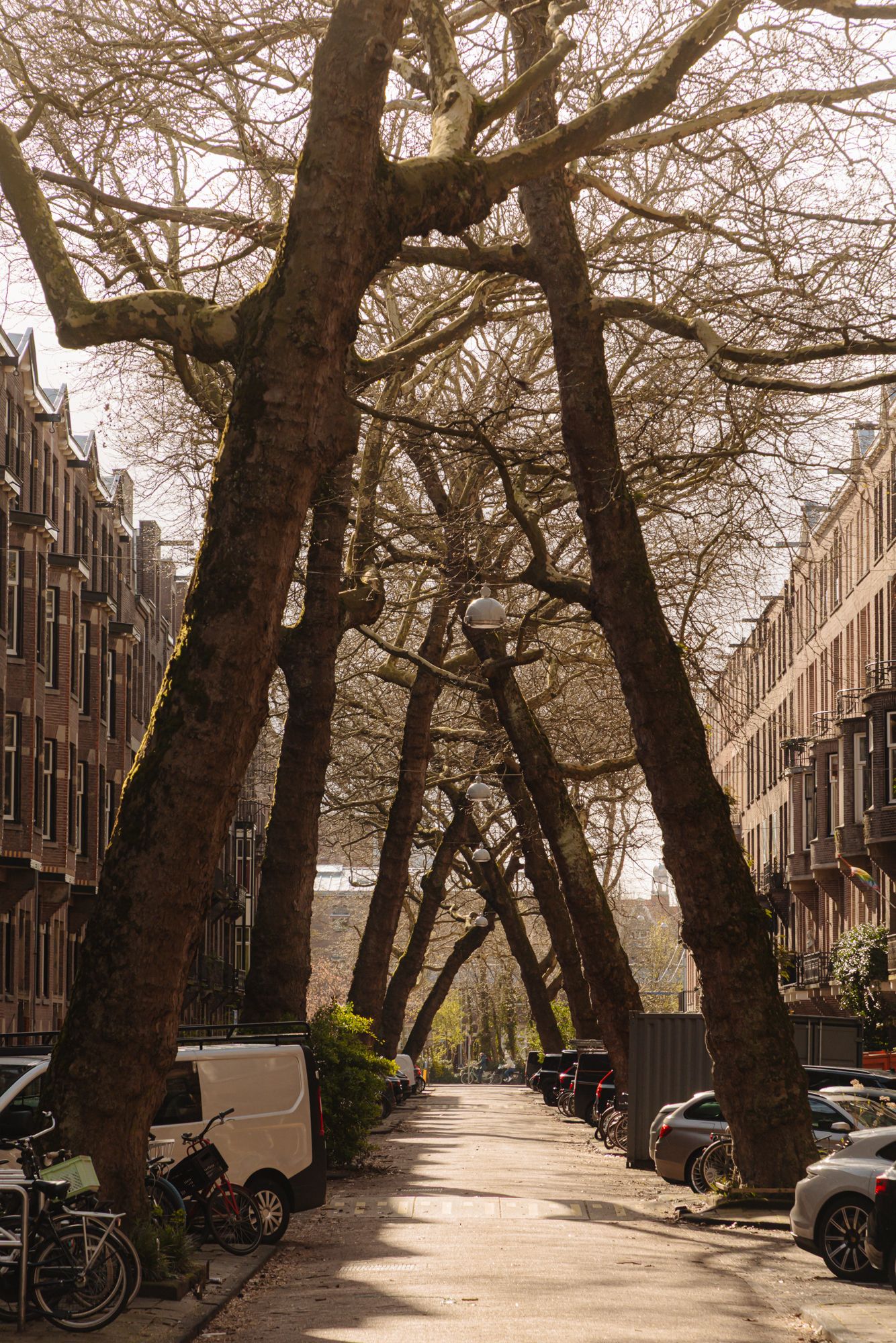 Foto 33 van Lomanstraat 58-H