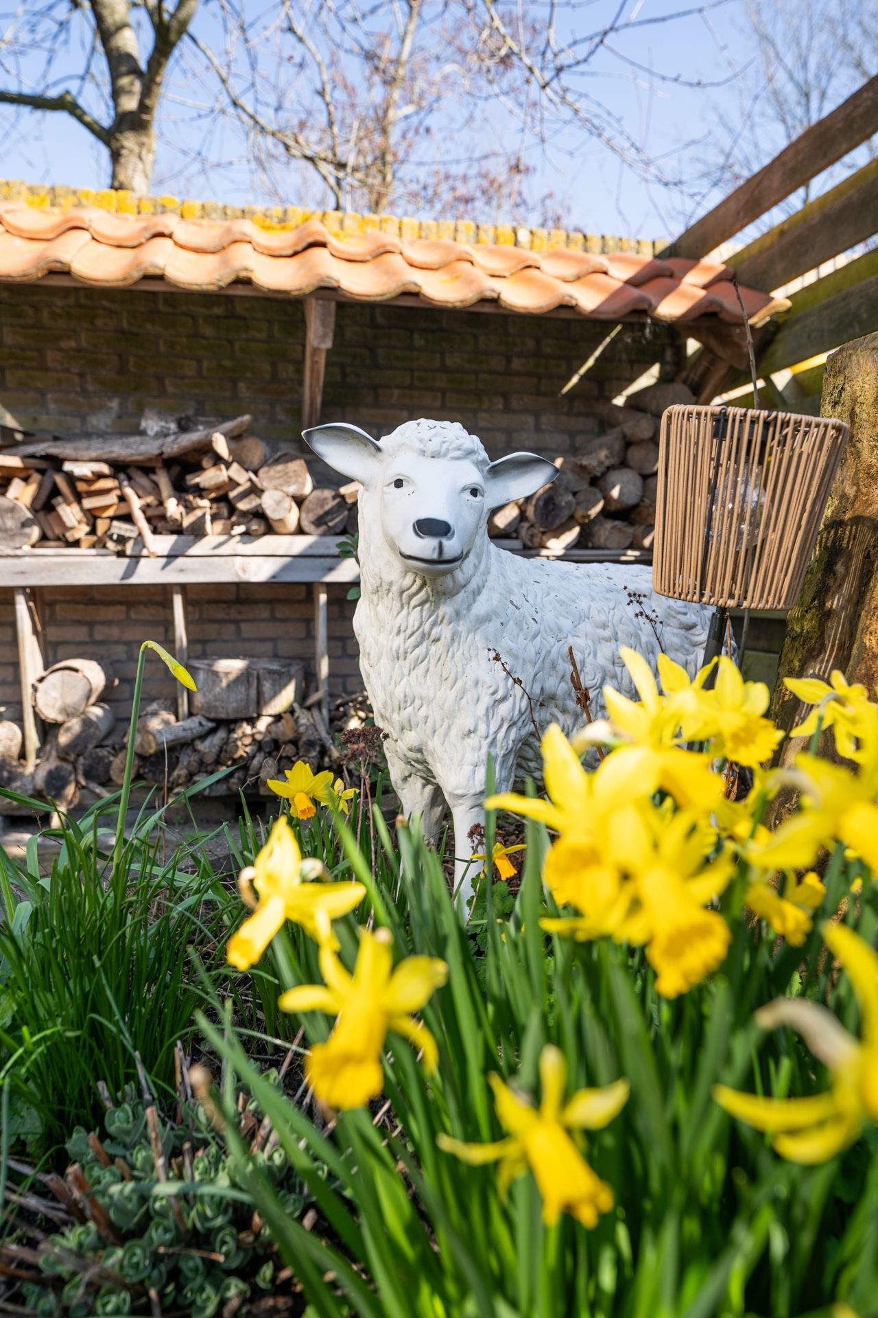 Photo 55 of Roggeslootweg 9