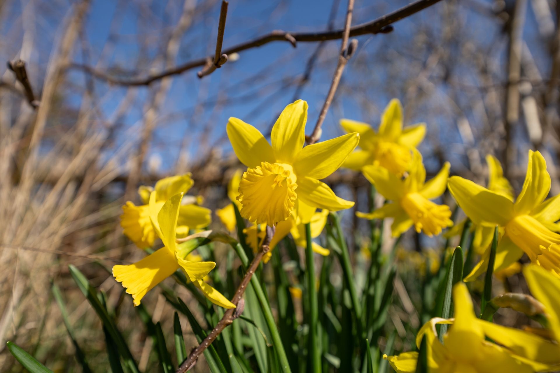 Photo 60 of Roggeslootweg 9