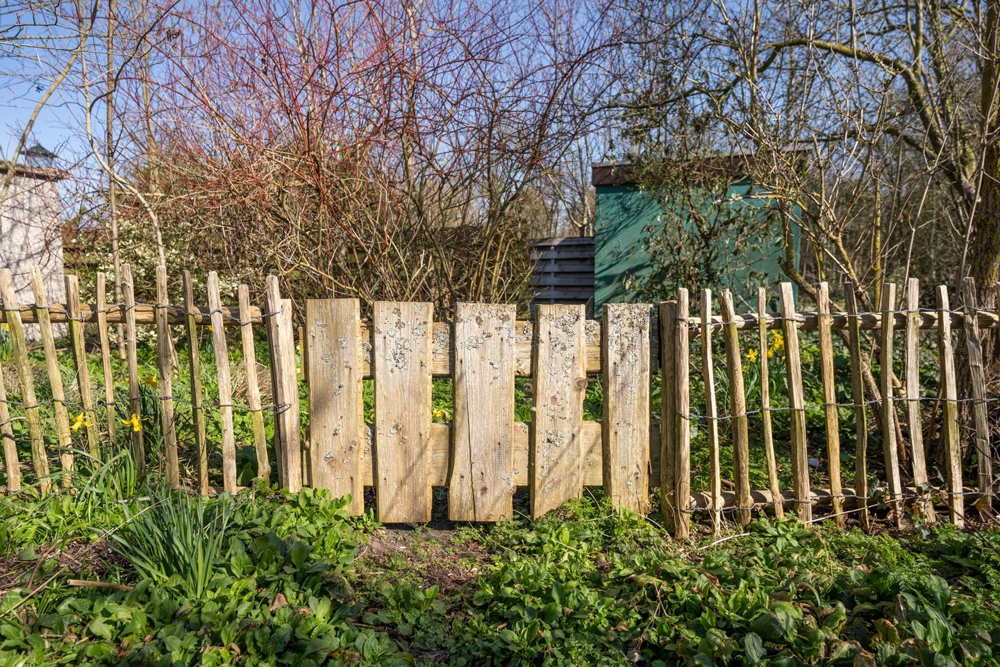 Photo 59 of Roggeslootweg 9