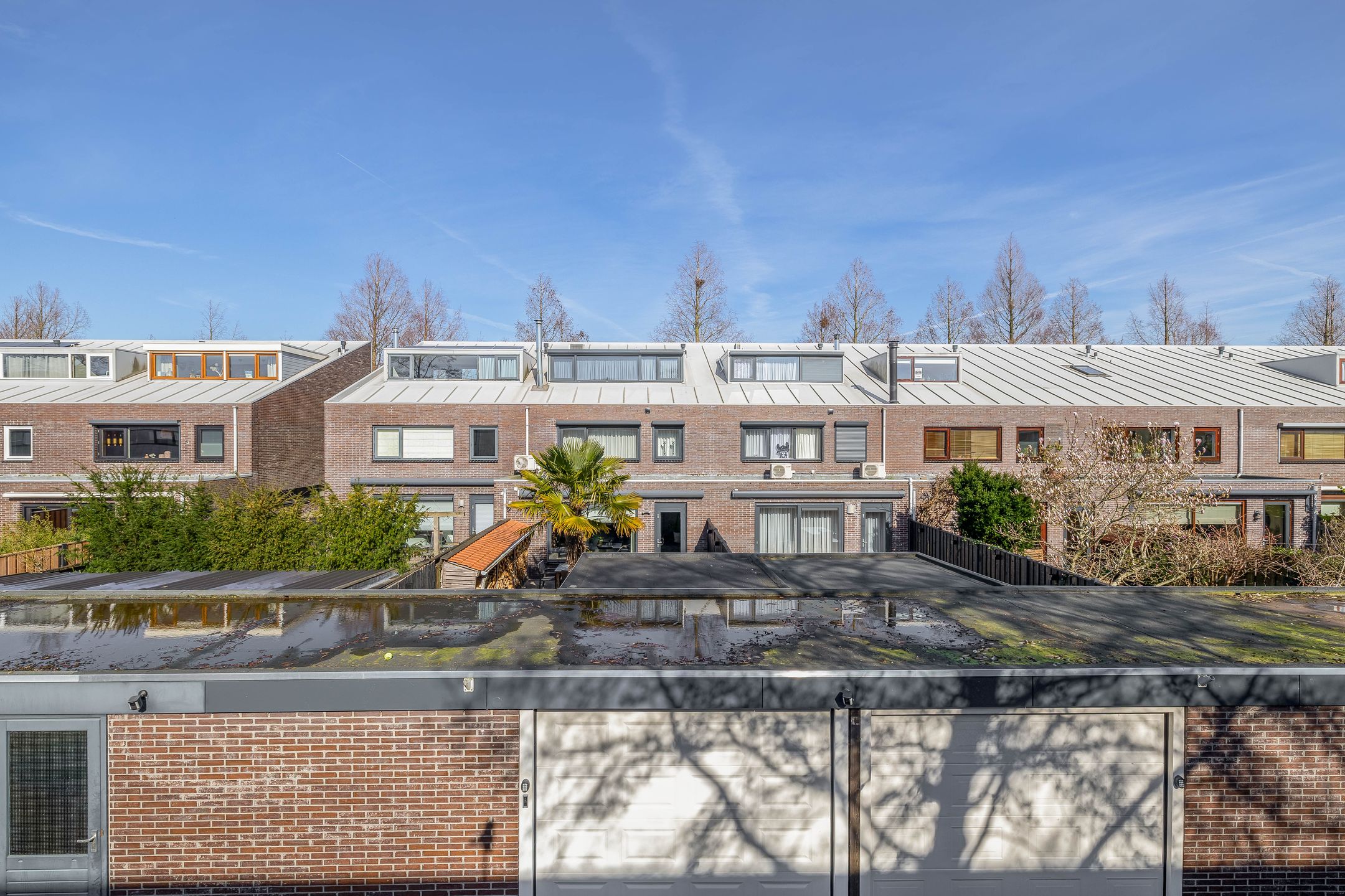 Foto 39 van Tamis Weer 25