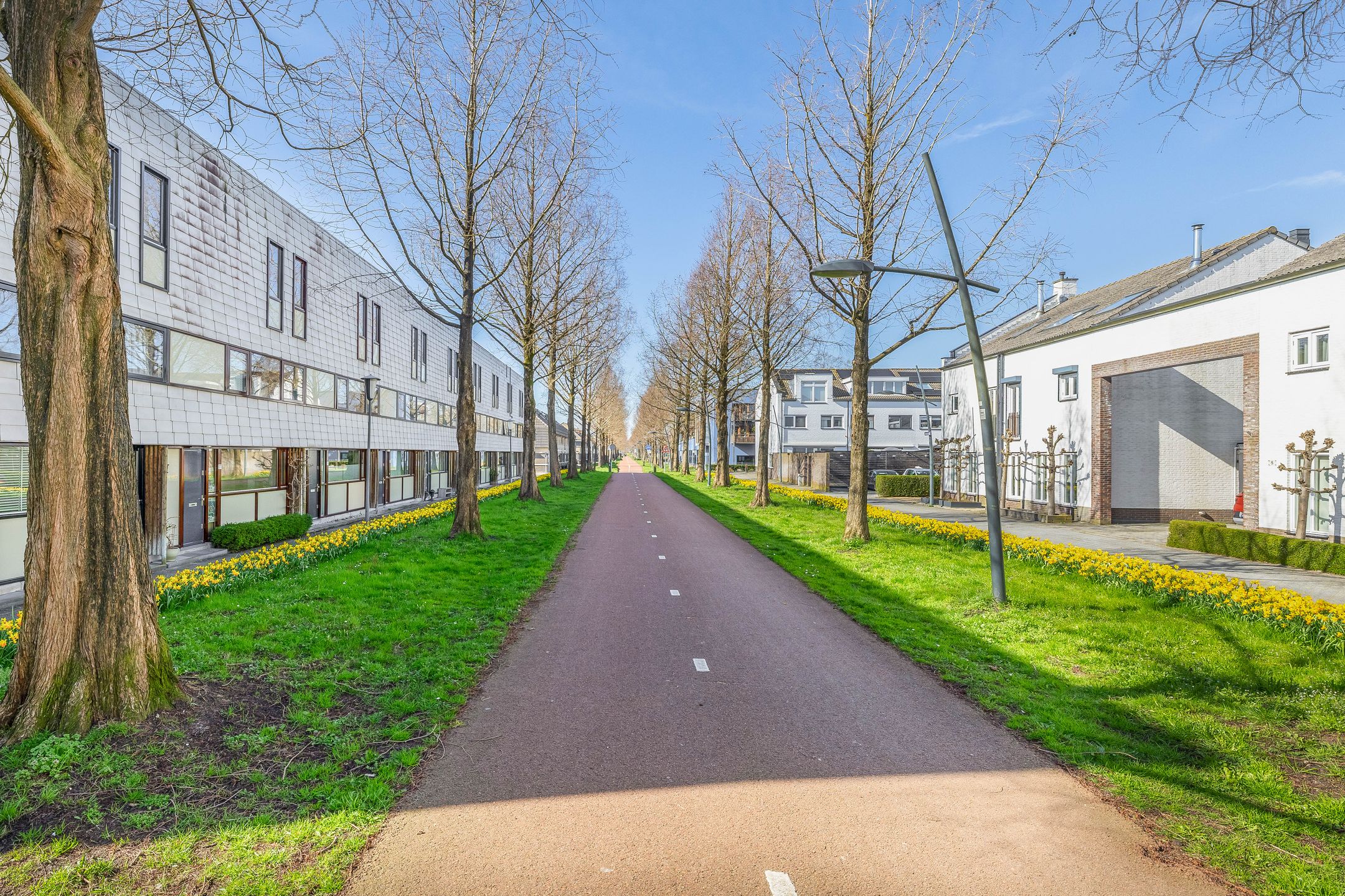 Foto 48 van Tamis Weer 25