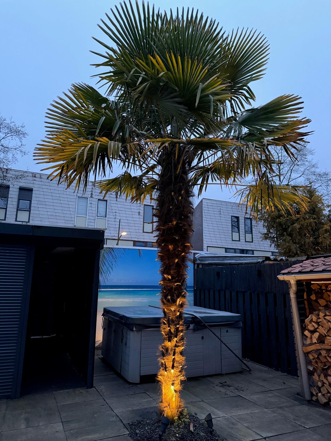 Foto 58 van Tamis Weer 25