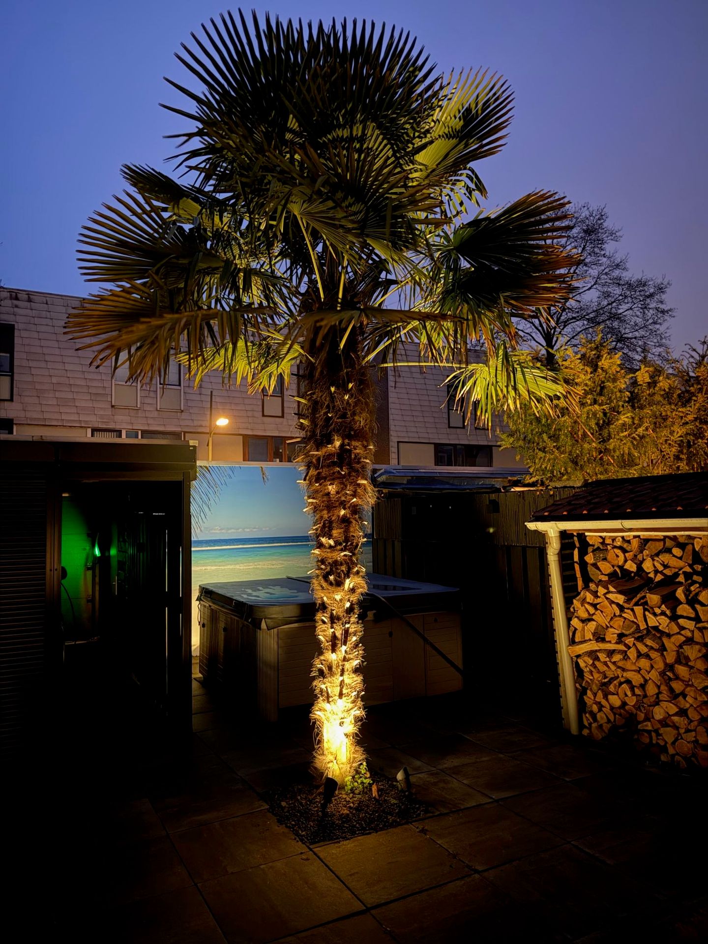 Foto 55 van Tamis Weer 25