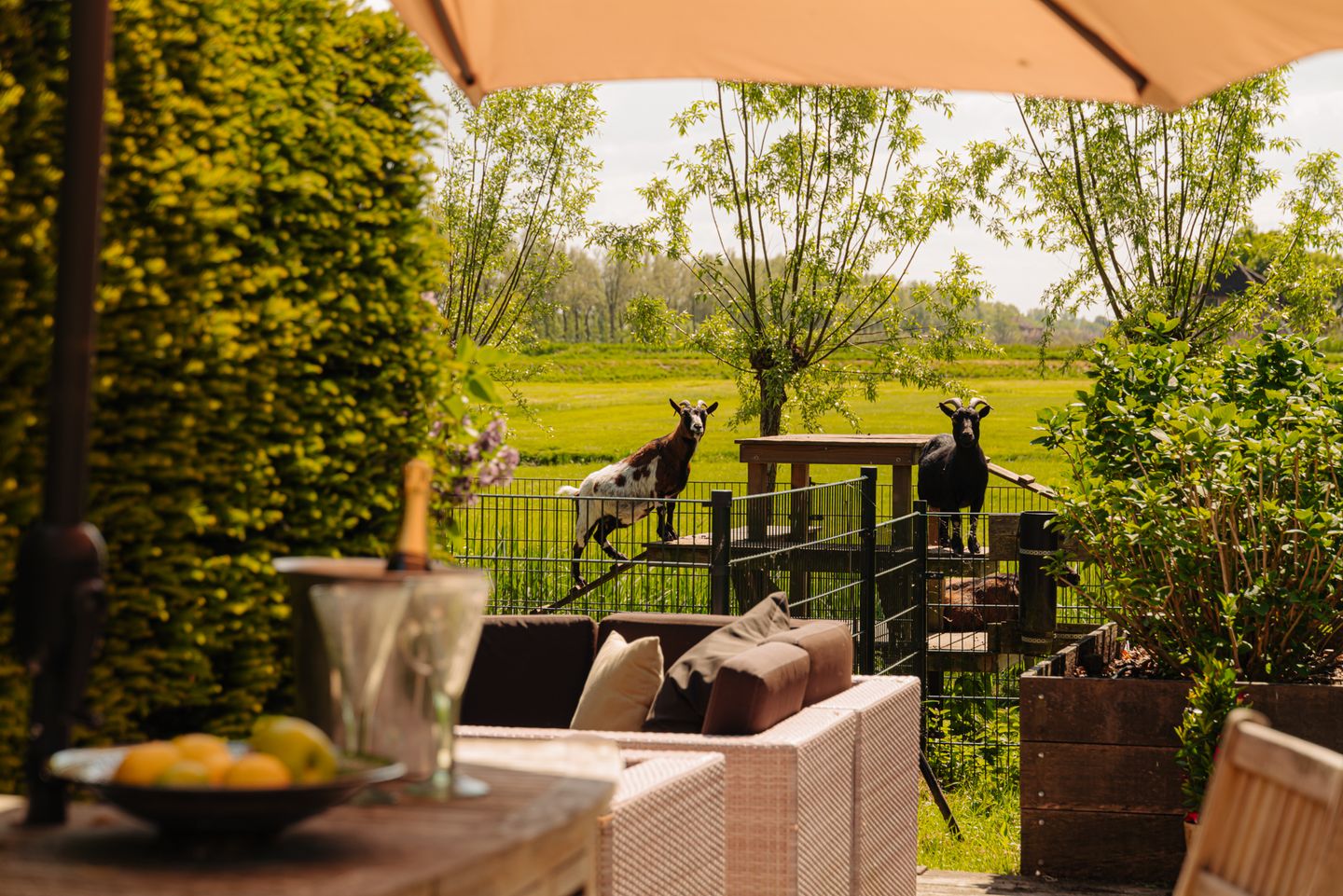 Foto 20 van Angsteloord 73