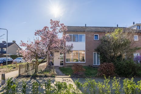 undefined main image