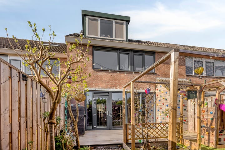 Schijfmos 62 main image