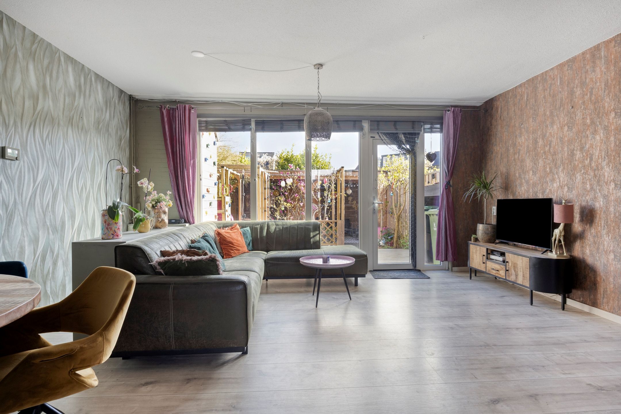 Foto 6 van Schijfmos 62