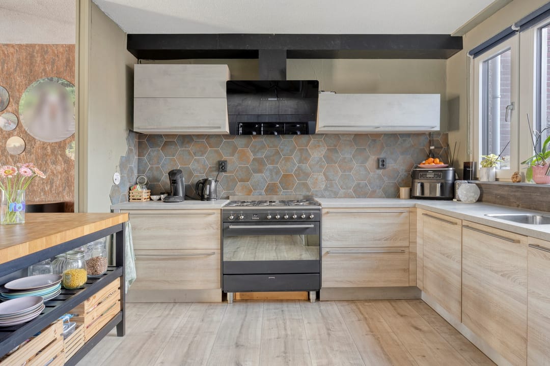 Foto 11 van Schijfmos 62