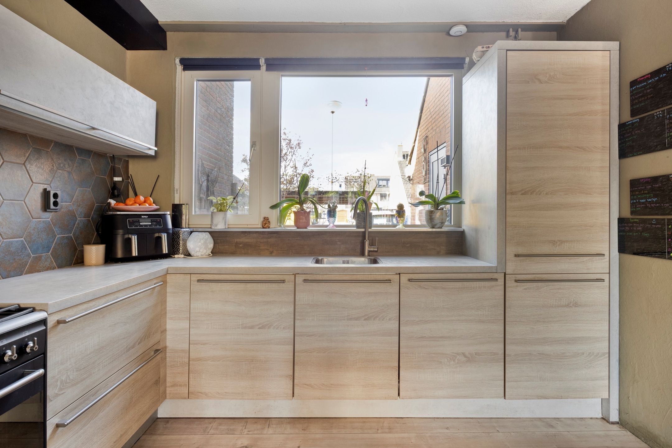 Foto 12 van Schijfmos 62