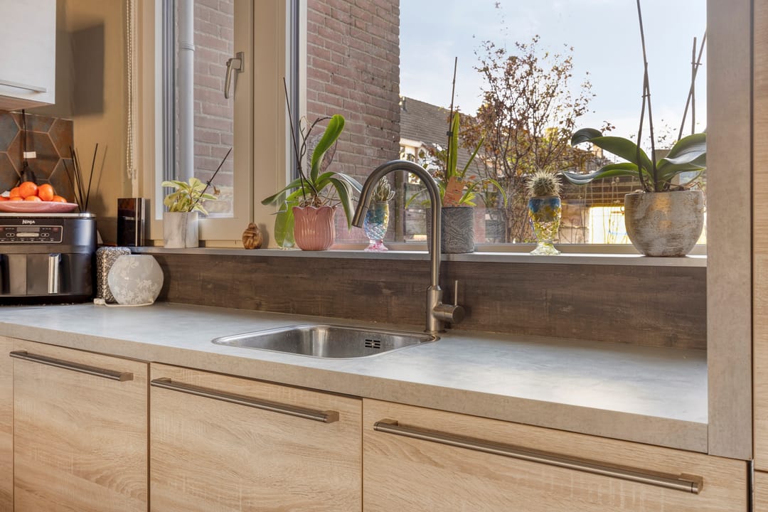 Foto 13 van Schijfmos 62