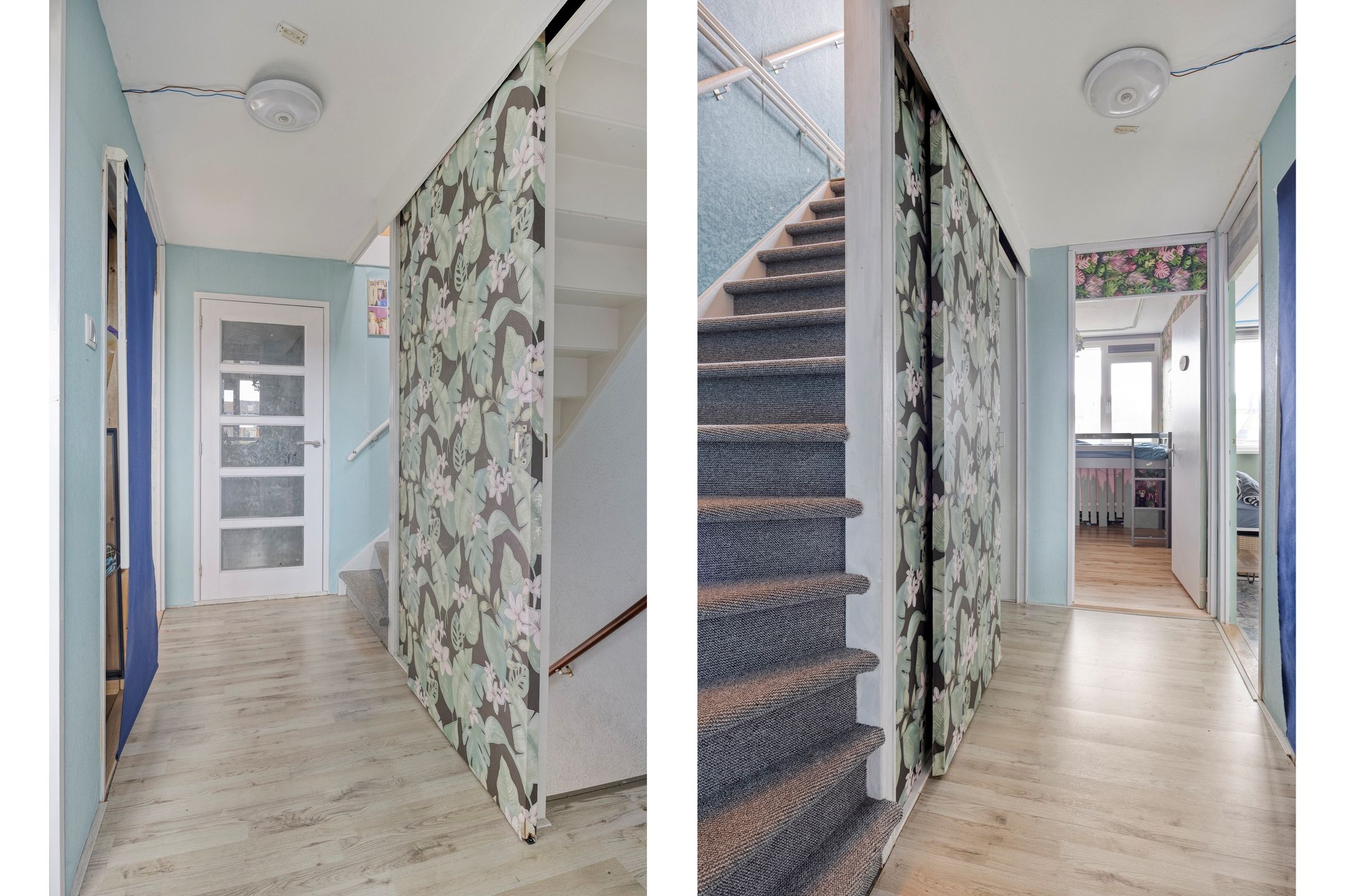 Foto 15 van Schijfmos 62