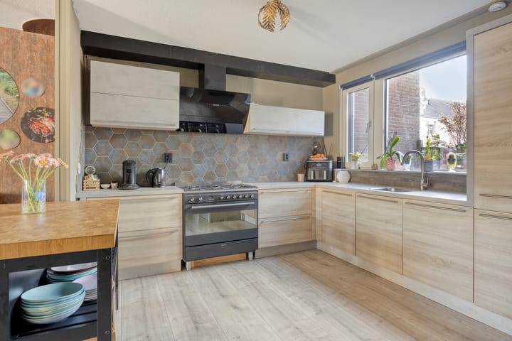 Photo 2 of Schijfmos 62