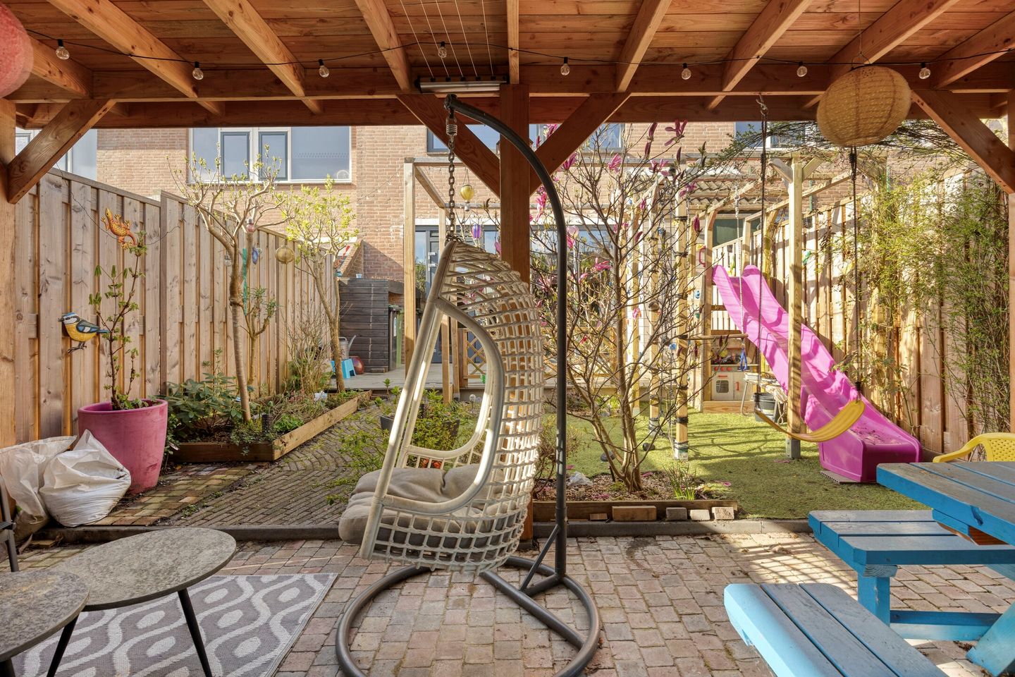 Foto 35 van Schijfmos 62