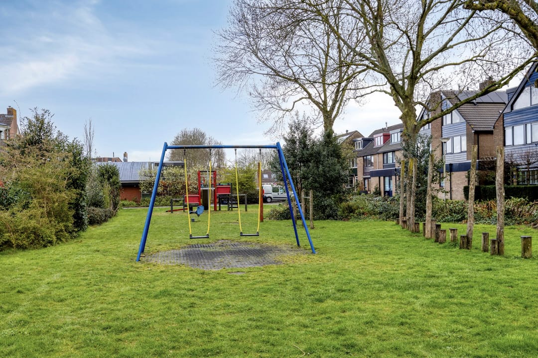 Foto 43 van Schijfmos 62