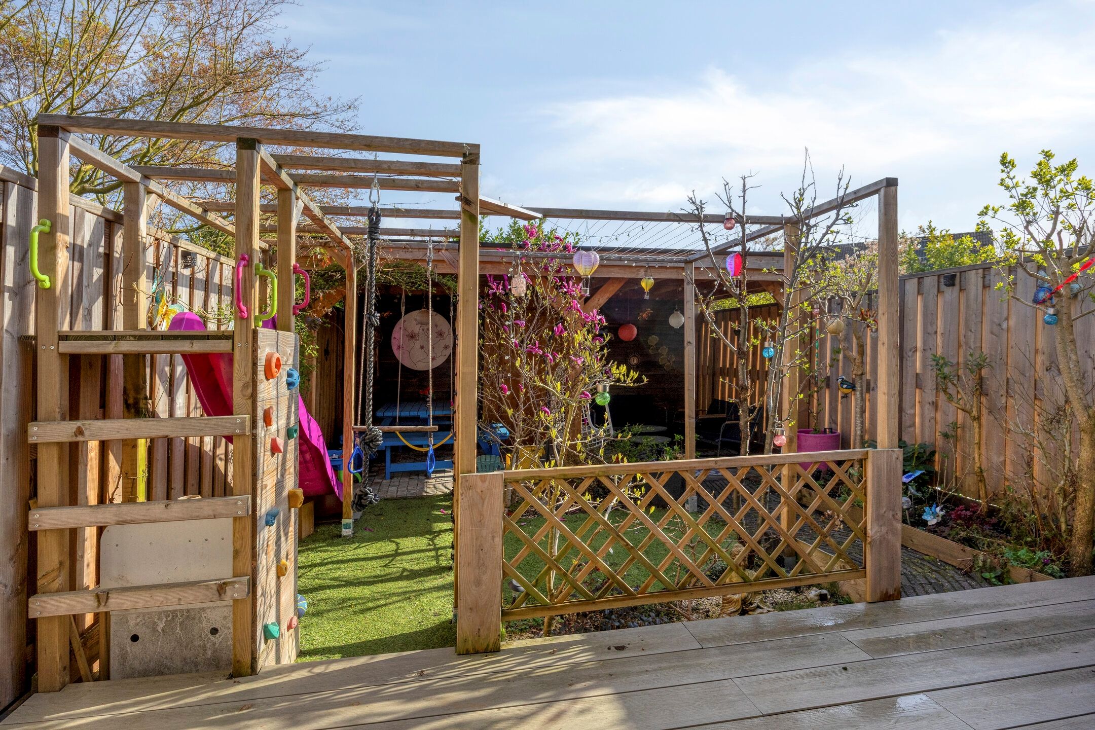 Foto 30 van Schijfmos 62