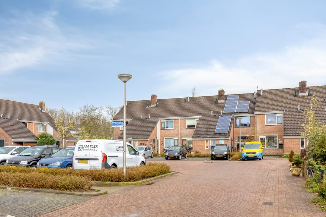 Foto 41 van Schijfmos 62