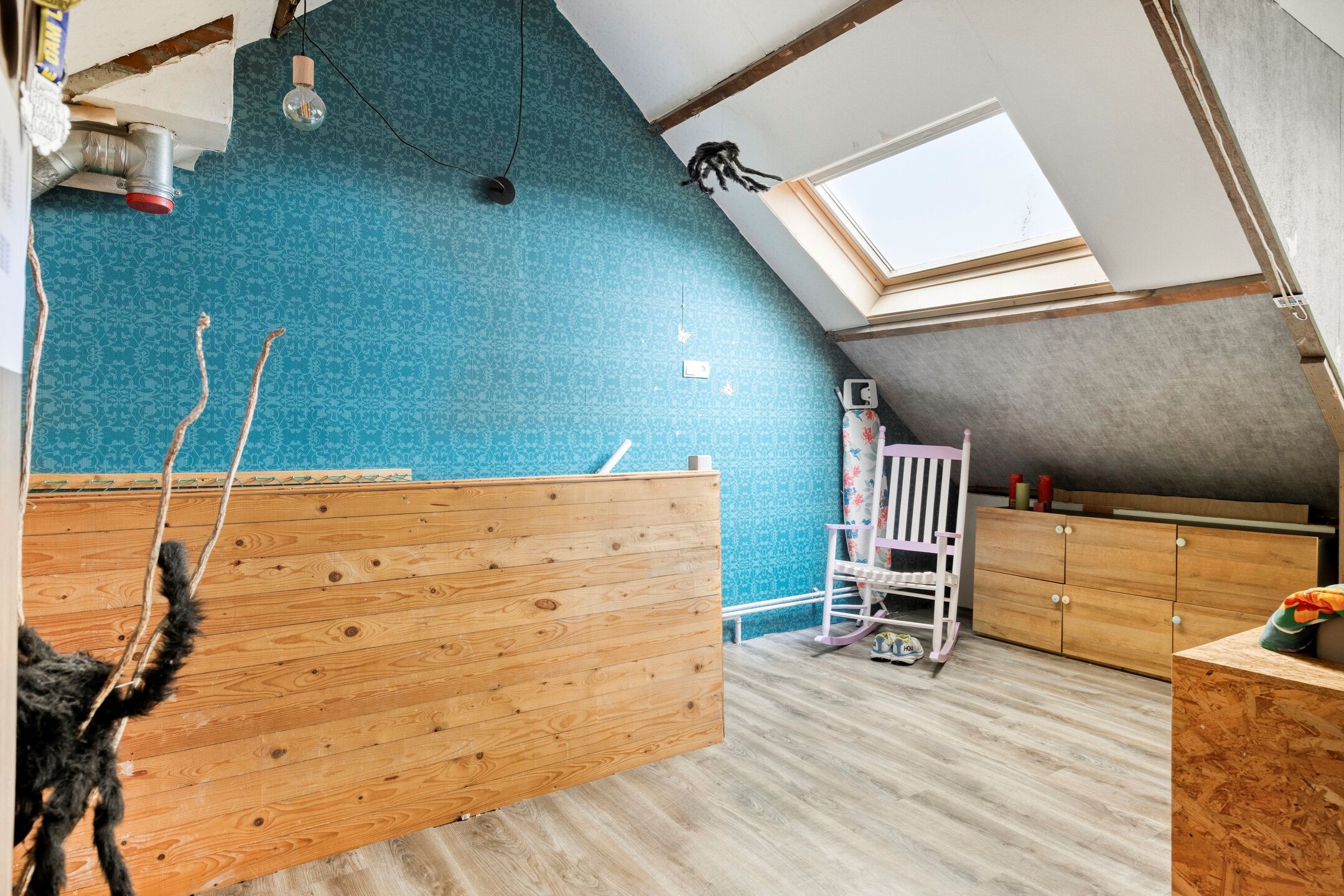 Foto 27 van Schijfmos 62