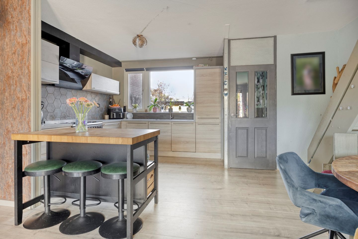 Foto 10 van Schijfmos 62