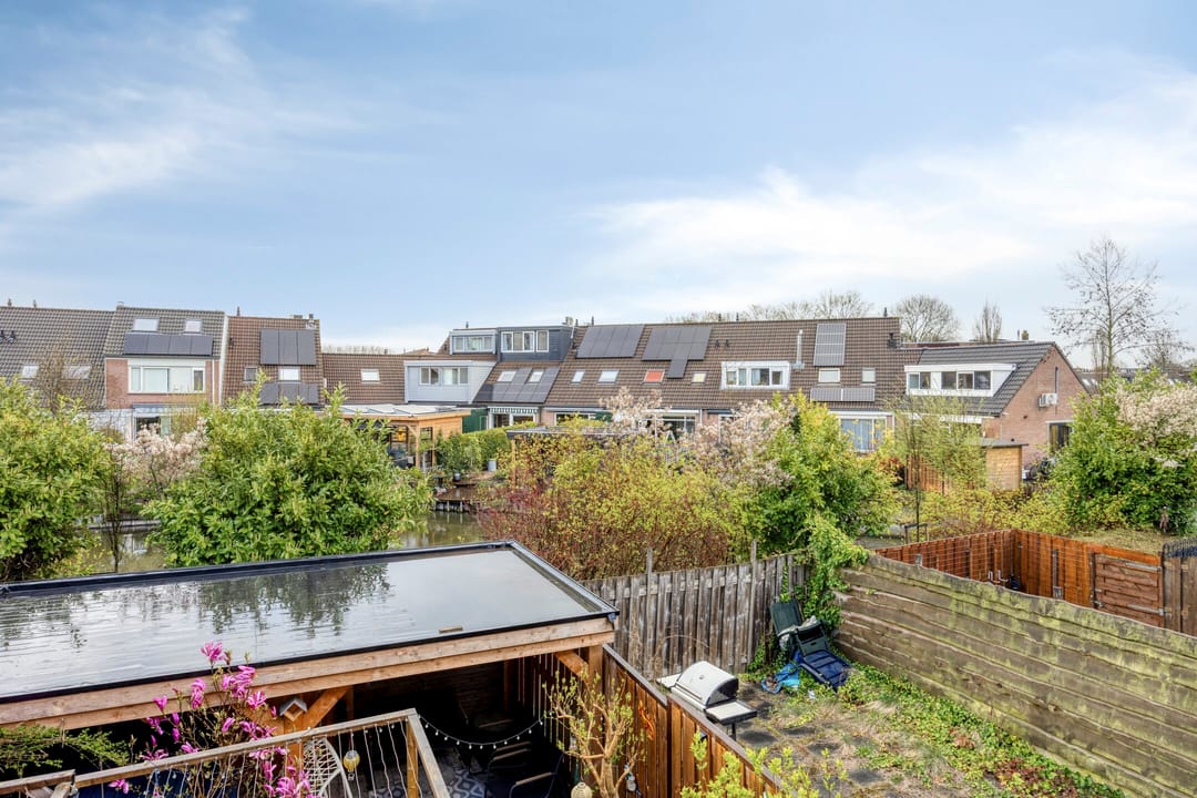 Foto 37 van Schijfmos 62