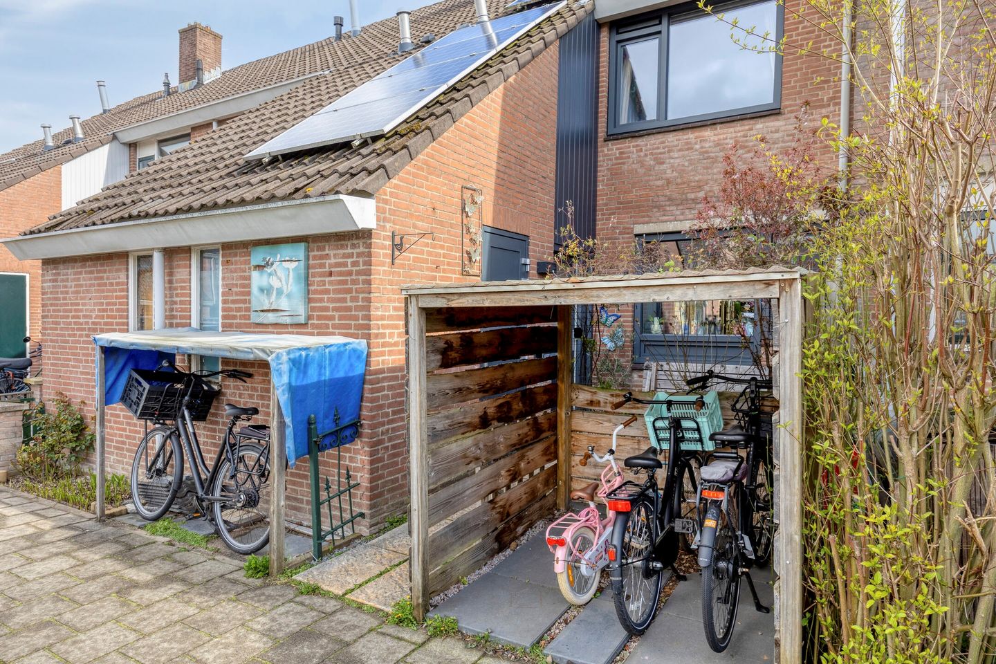 Foto 40 van Schijfmos 62